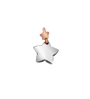 Charm Dodo Mariani ILMAGICO MONDO DELLA NATURA in Argento SL11K-STELLA - SL11K-STELLA